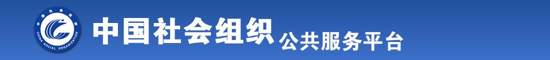 操逼网络视频全国社会组织信息查询